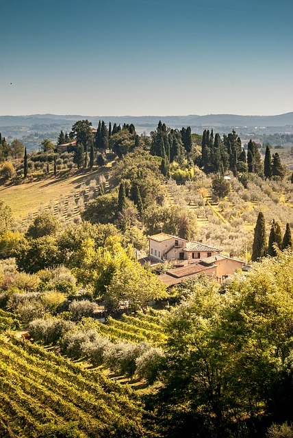 paesaggio della Toscana, Italia, con vigneti